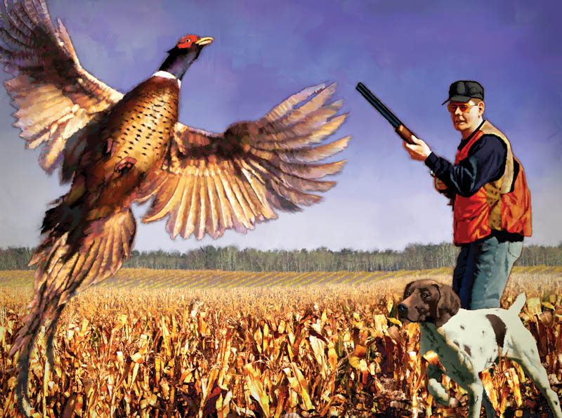 Faux Traditional-Pheasant HunterIllustration