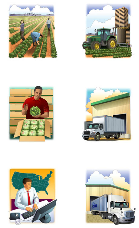 Icons-From Farm to Fork Illustration