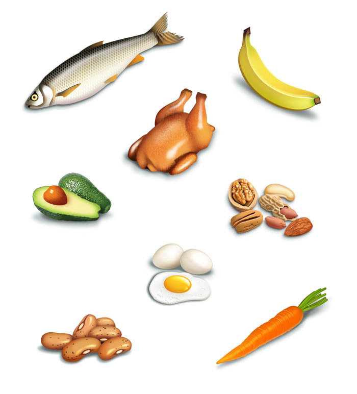 Realism-Good Foods Illustration